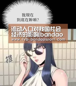 流动人口对我国社会经济的影响|bandao(图1)