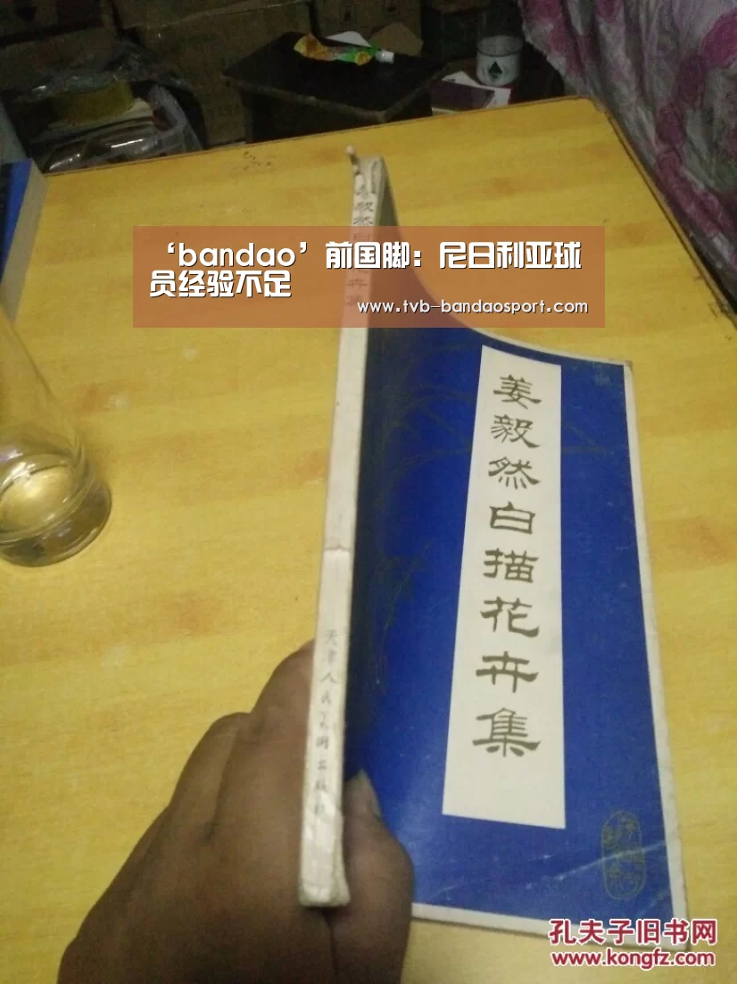 ‘bandao’前国脚:尼日利亚球员经验不足(图1) 半岛体育官网