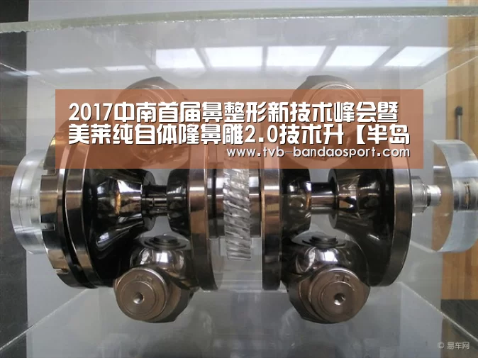 2017中南首届鼻整形新技术峰会暨美莱纯自体隆鼻雕2.0技术升【半岛体育网址】(图4)