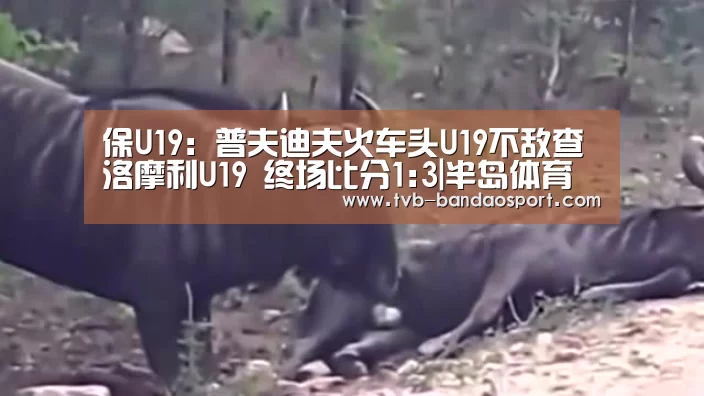 保U19: 普夫迪夫火车头U19不敌查洛摩利U19 终场比分1:3|半岛体育(图1) 半岛体育