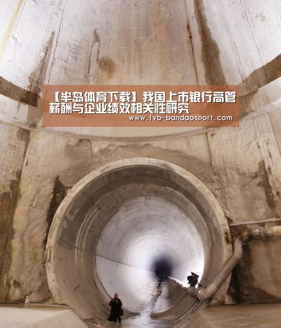 【半岛体育下载】我国上市银行高管薪酬与企业绩效相关性研究(图1)