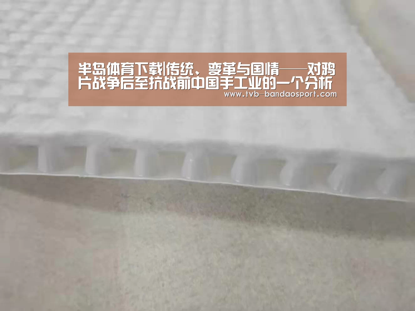 半岛体育下载|传统、变革与国情——对鸦片战争后至抗战前中国手工业的一个分析(图1) 半岛体育