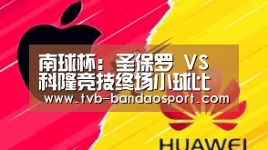 半岛体育官网