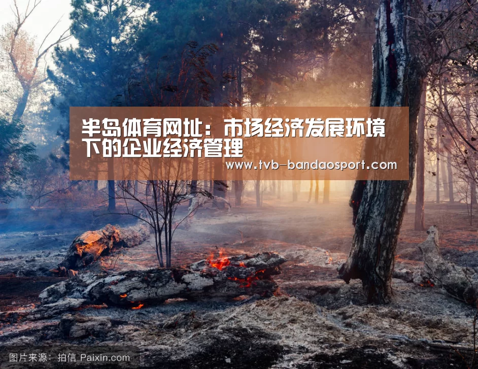 半岛体育网址